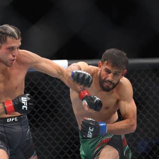 Yair Rodríguez wallpaper