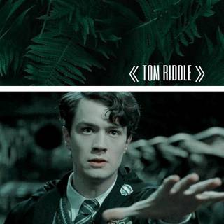 Tom Marvolo Riddle wallpaper
