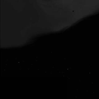 Shevon Salmon wallpaper