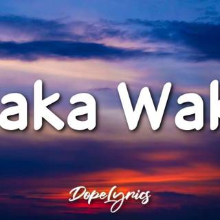 Waka Waka This Time For Africa wallpaper