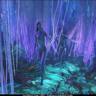 Avatar film wallpaper