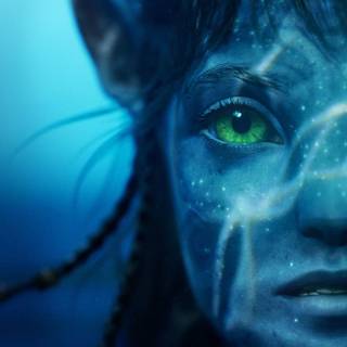 Avatar film wallpaper