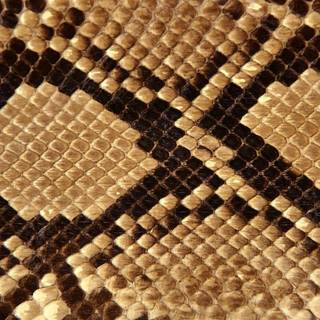 Glitter snake wallpaper