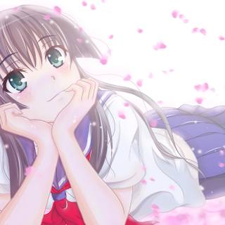 Saten Ruiko wallpaper