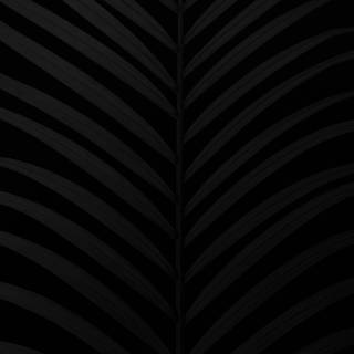 White on black wallpaper