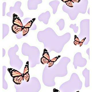 Preppy butterfly wallpaper