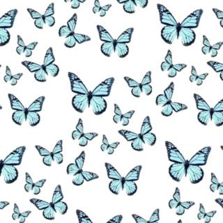 Preppy butterfly wallpaper