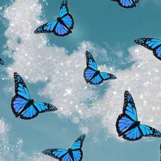 Preppy butterfly wallpaper
