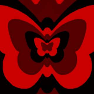 Preppy butterfly wallpaper