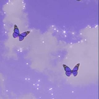 Preppy butterfly wallpaper