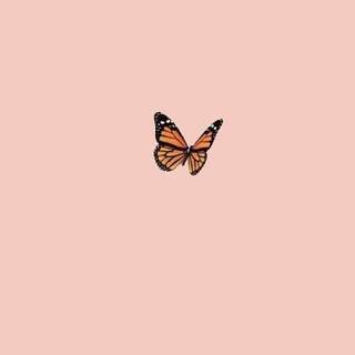 Preppy butterfly wallpaper