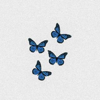 Preppy butterfly wallpaper