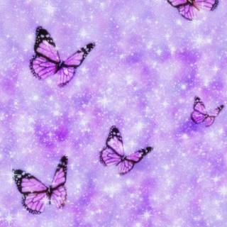 Preppy butterfly wallpaper