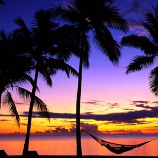 Illustration sunset 4k wallpaper