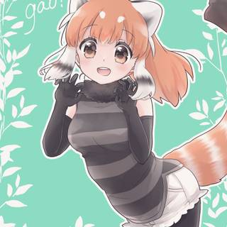 Red Panda Kemono Friends wallpaper
