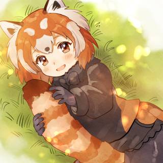 Red Panda Kemono Friends wallpaper