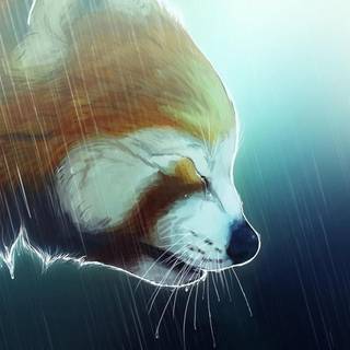Red panda fantasy wallpaper