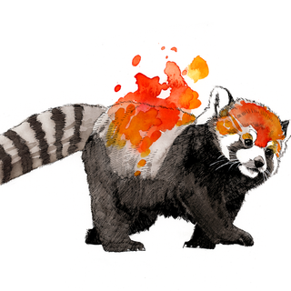 Red panda fantasy wallpaper