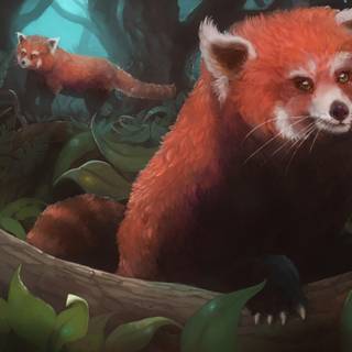 Red panda fantasy wallpaper