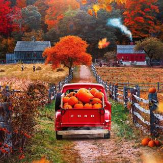 Pickup travelers wallpaper