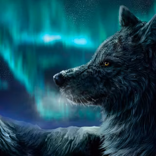Wolf northern lights wallpaper