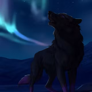 Wolf northern lights wallpaper
