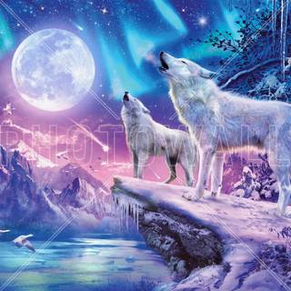 Wolf northern lights wallpaper