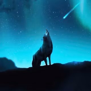 Wolf northern lights wallpaper