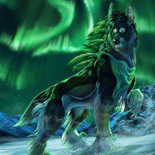 Wolf northern lights wallpaper