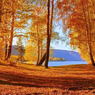 Lakeshore serenity wallpaper