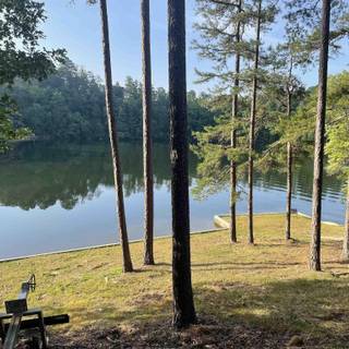 Lakeshore serenity wallpaper