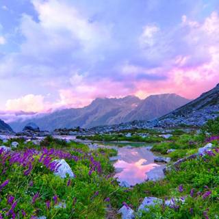 Valley flowers wallpaper