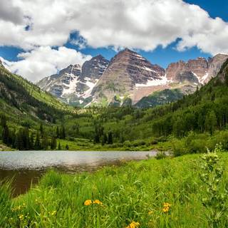 Valley flowers wallpaper