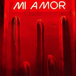 Mi amor wallpaper