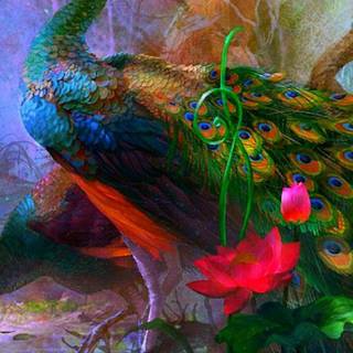 Peacock art wallpaper