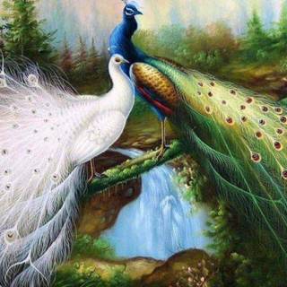 Peacock art wallpaper