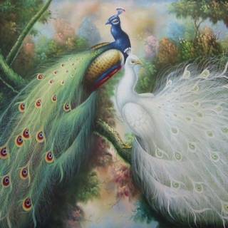 Peacock art wallpaper