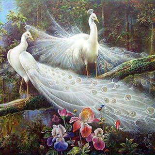 Peacock art wallpaper