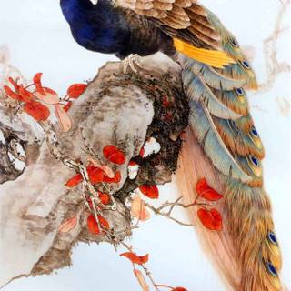 Peacock art wallpaper