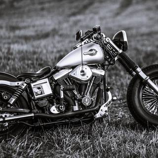 Harley Davidson 4k wallpaper