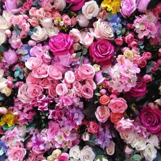 Summertime flowers wallpaper