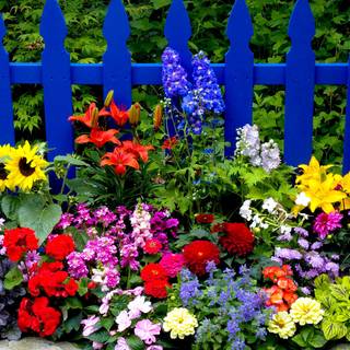 Summertime flowers wallpaper