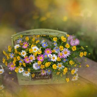 Summertime flowers wallpaper