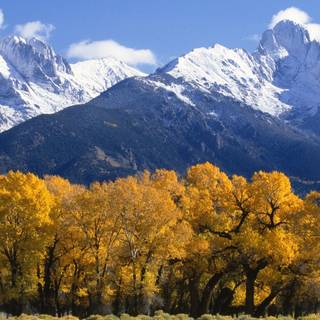 Colorado nature wallpaper