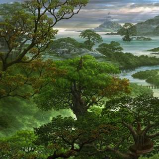 Rainforest fantasy world wallpaper