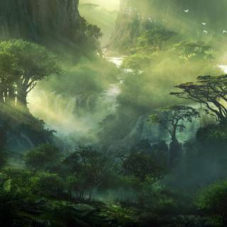 Rainforest fantasy world wallpaper