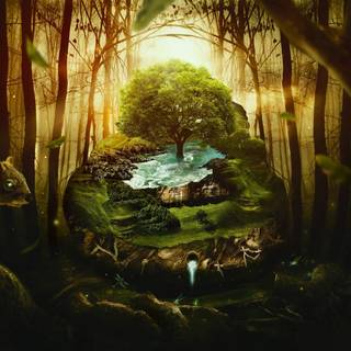 Rainforest fantasy world wallpaper