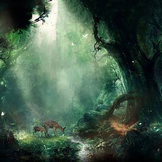 Rainforest fantasy world wallpaper