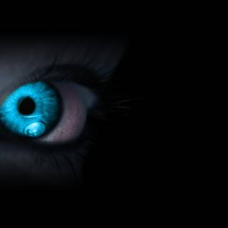 Cool eyes wallpaper