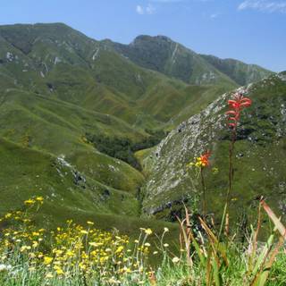 Outeniqua Mountains wallpaper